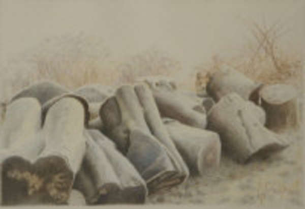 Carol Graham PRUA (b.1951) Frosted Logs Coloured p..., Fine Irish Art at Adams Auctioneers
