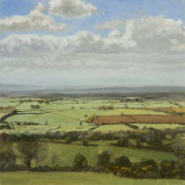 Blaise Smith (b.1967) Across Kilkenny Oil on gesso..., Fine Irish Art at Adams Auctioneers