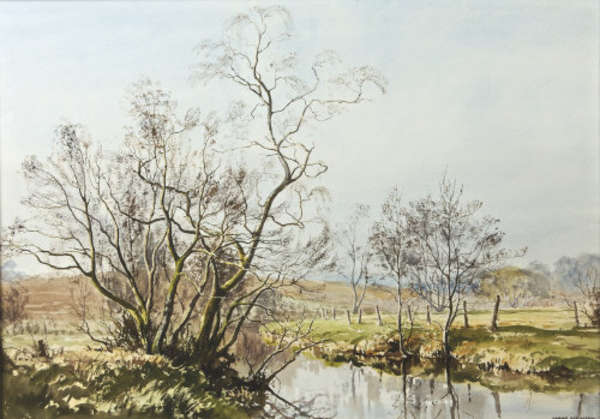 Lot-image