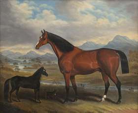 Lot 72