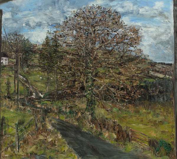 Nick Miller (b.1962)Winter Tree (2001) Oil on canv..., Fine Irish Art at Adams Auctioneers