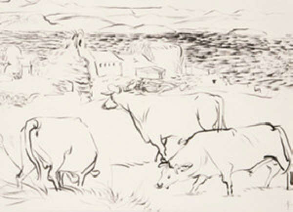 Lot-image
