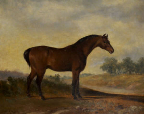 Lot-image