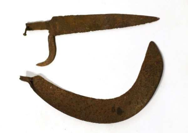 Lot-image