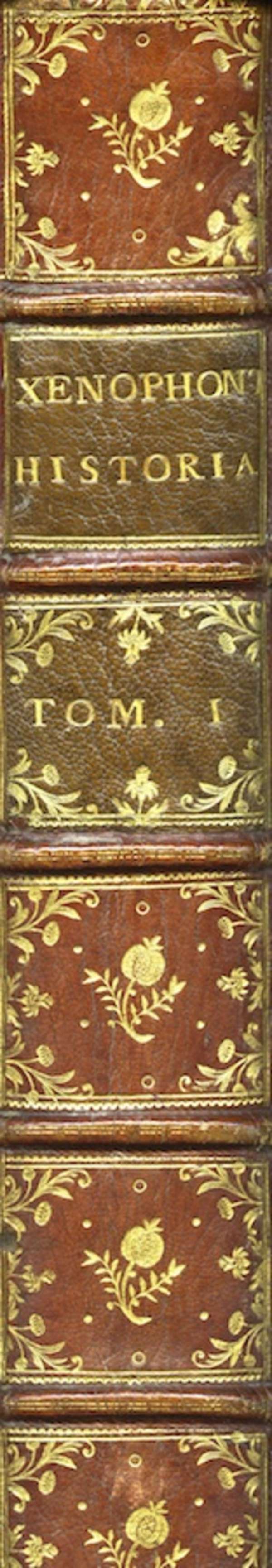 Lot-image