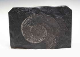 Lot 765