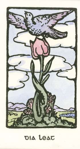 Lot 799