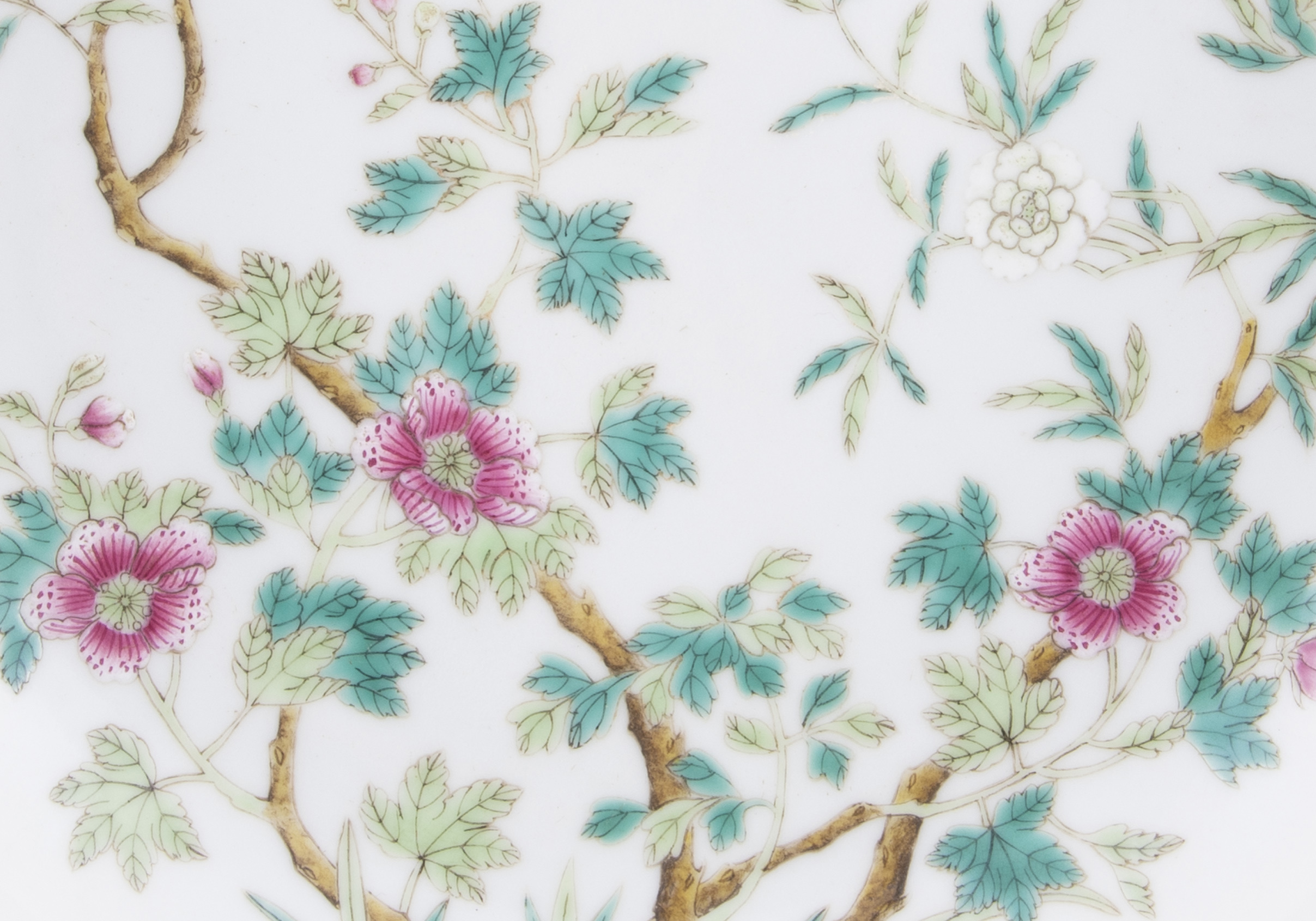 Online Gifts from Distant Worlds