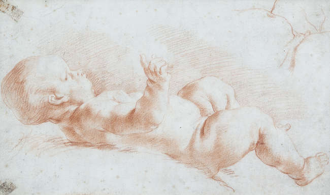 Lot-image