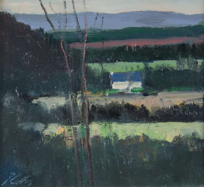 Peter Collis RHA (1929-2012)
Farmland near Annamo..., Fine Irish Art at Adams Auctioneers