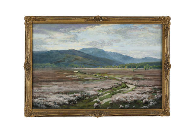 Lot-image