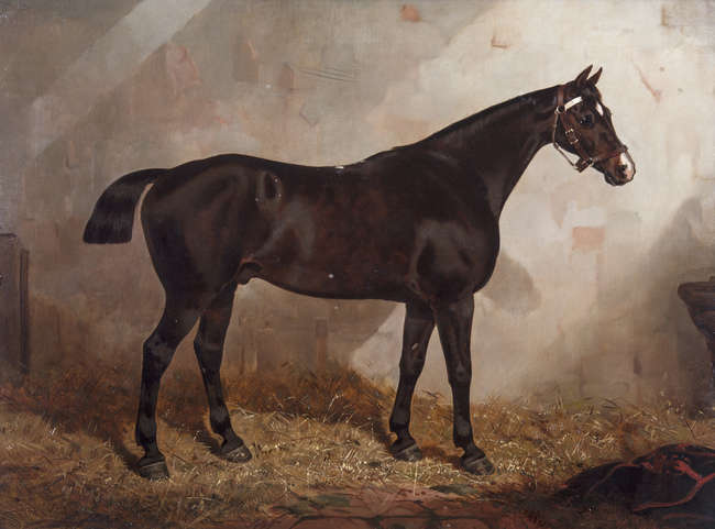 SAMUEL SPODE (19TH CENTURY)
A Chesnut Hunter in a ..., Fine Irish Art at Adams Auctioneers