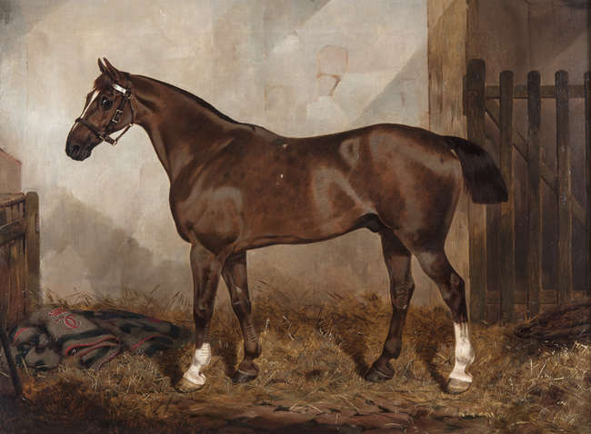 SAMUEL SPODE (19TH CENTURY)
A Chesnut Hunter in a ..., Fine Irish Art at Adams Auctioneers