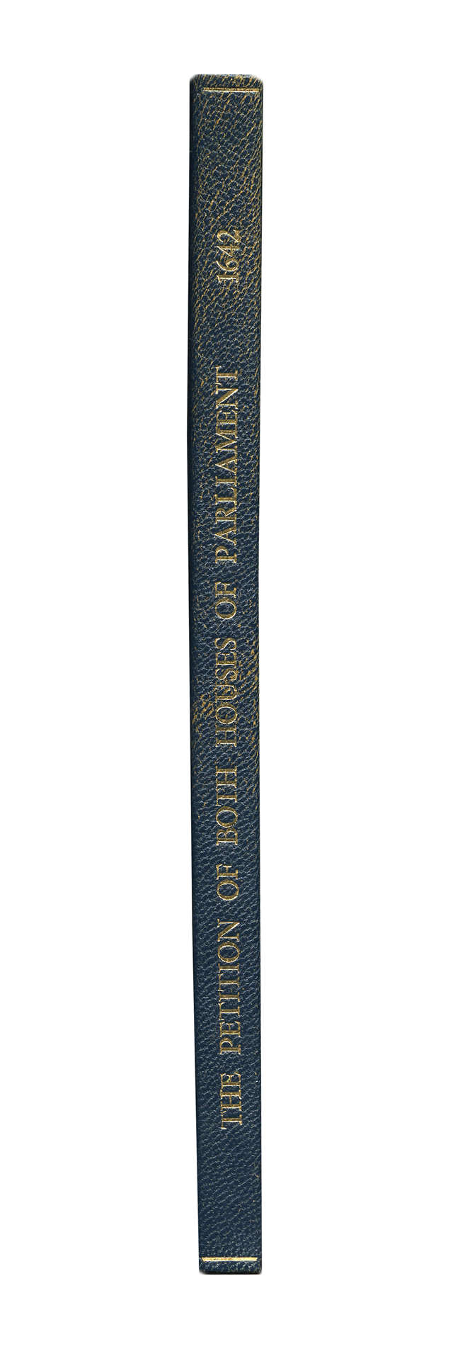 Lot-image