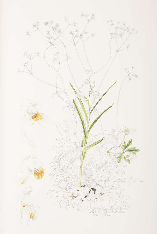Lot-image