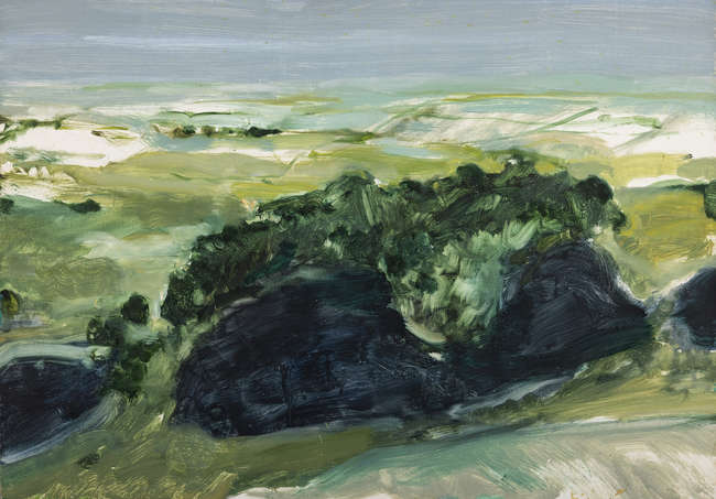 Barrie Cooke HRHA (1931 - 2014)
Stones Lake Study..., Fine Irish Art at Adams Auctioneers