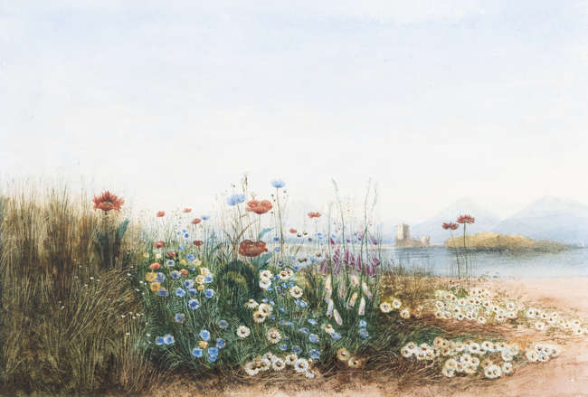 Andrew Nicholl RHA (1804 - 1886)
Ross Castle, Co...., Fine Irish Art at Adams Auctioneers