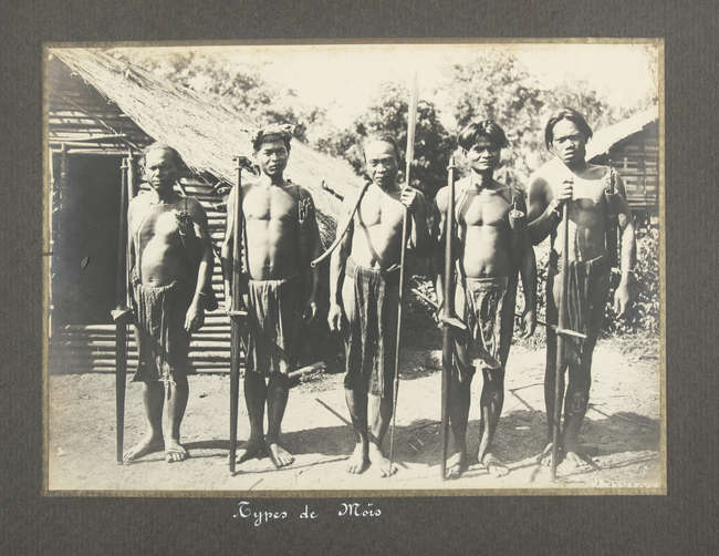 Lot-image
