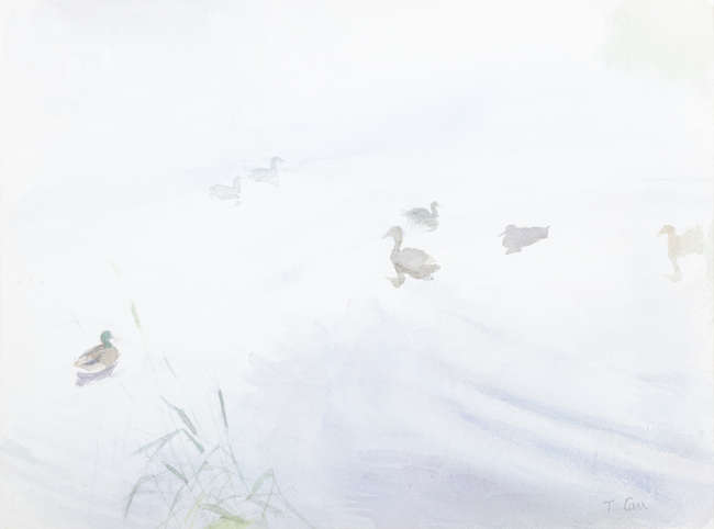 Tom Carr ARHA HRUA ARWS (1909-1999)
Ducks on Lake..., Fine Irish Art at Adams Auctioneers
