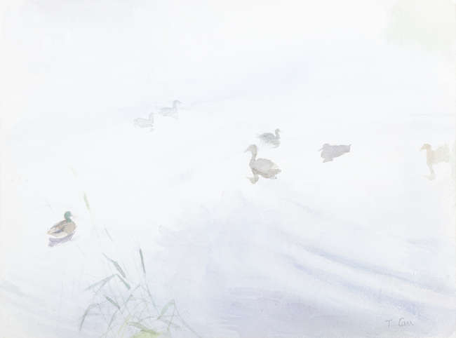 Tom Carr ARHA HRUA ARWS (1909-1999)
Ducks on Lake..., Fine Irish Art at Adams Auctioneers
