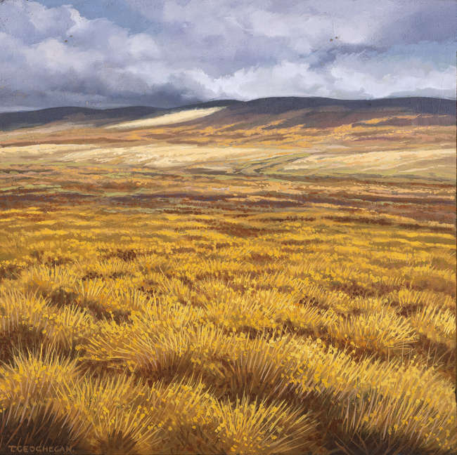 Trevor Geoghegan (1946-2023)
Orange Plain
Oil on..., Fine Irish Art at Adams Auctioneers