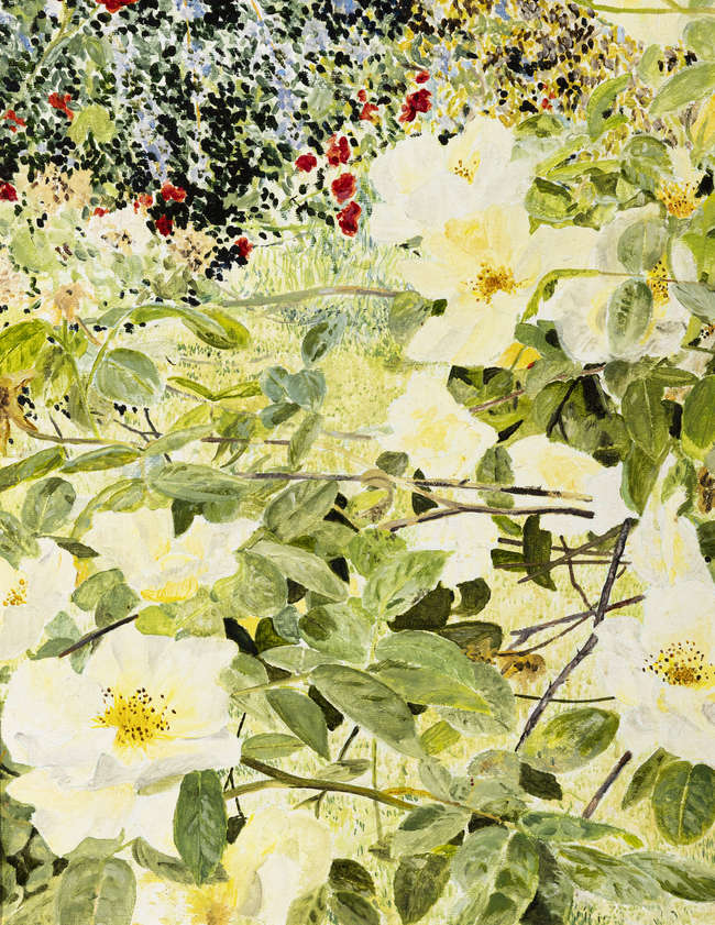 Tim Goulding (b. 1945) 
Rosa Golden Showers
Oil ..., Fine Irish Art at Adams Auctioneers