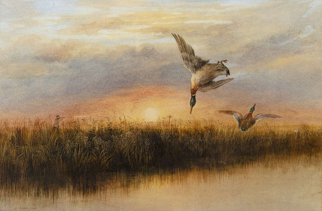 Andrew Nicholl RHA (1804-1886)
Ducks over Wetland..., Fine Irish Art at Adams Auctioneers