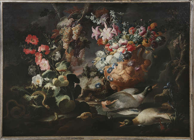 Lot-image