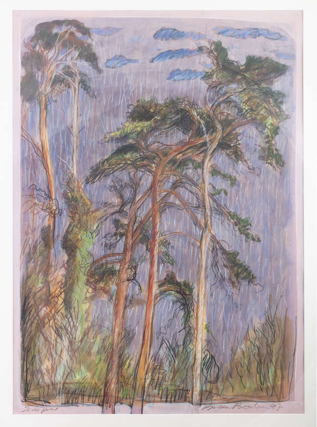 Brian Bourke HRHA (b.1936) 
Scots Pine
Pastel , ..., Fine Irish Art at Adams Auctioneers
