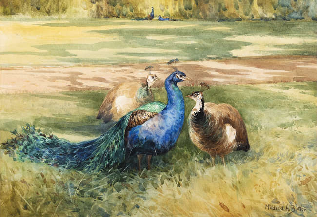 Mildred Anne Butler RWS (1858-1941) 
Peacocks
Wa..., Fine Irish Art at Adams Auctioneers
