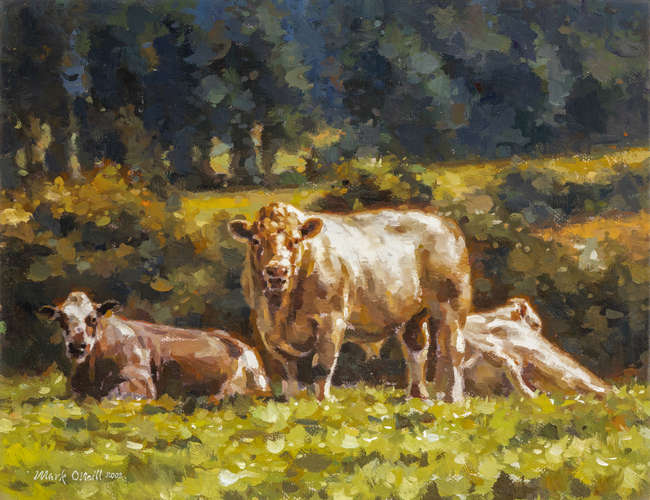 Mark O'Neill (b.1963) 
Cattle Resting (2002)
Oil..., Fine Irish Art at Adams Auctioneers
