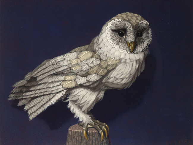 Edward McGuire RHA (1932-1986) 
Barn Owl (1983)
..., Fine Irish Art at Adams Auctioneers