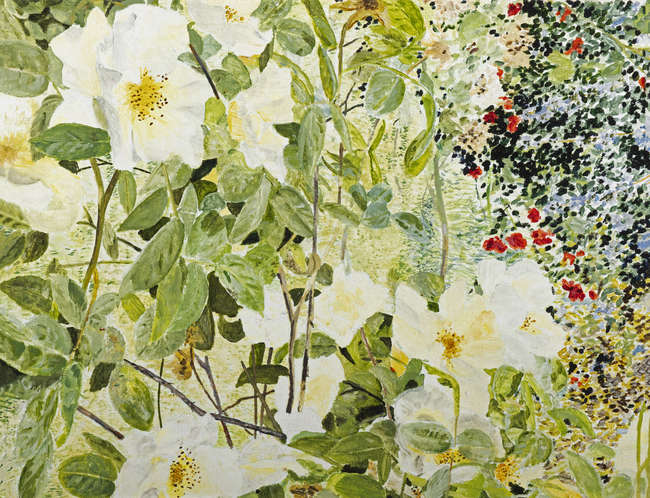 Tim Goulding (b.1945) 
Rosa Golden Showers (1977)..., Fine Irish Art at Adams Auctioneers