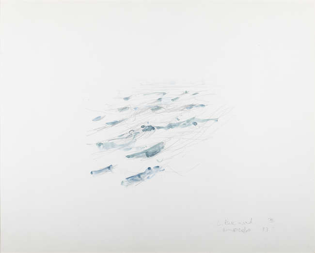 Barrie Cooke (1931-2014) 
Lough Ree Wind I (1983)..., Fine Irish Art at Adams Auctioneers