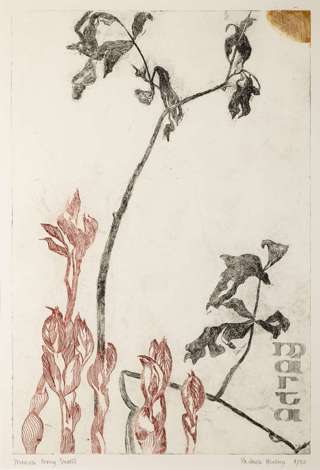 Patrick Hickey HRHA (1927-1998) 
March Peony shoo..., Fine Irish Art at Adams Auctioneers