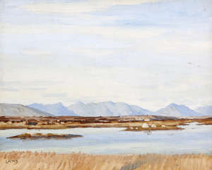Lot 16