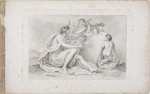 Lot 12