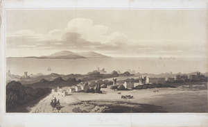 Lot 7