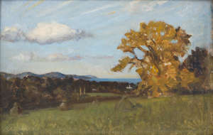Lot 11