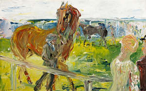 Lot 12